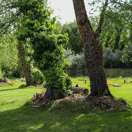 Lafa Fala Bungalow Villa *